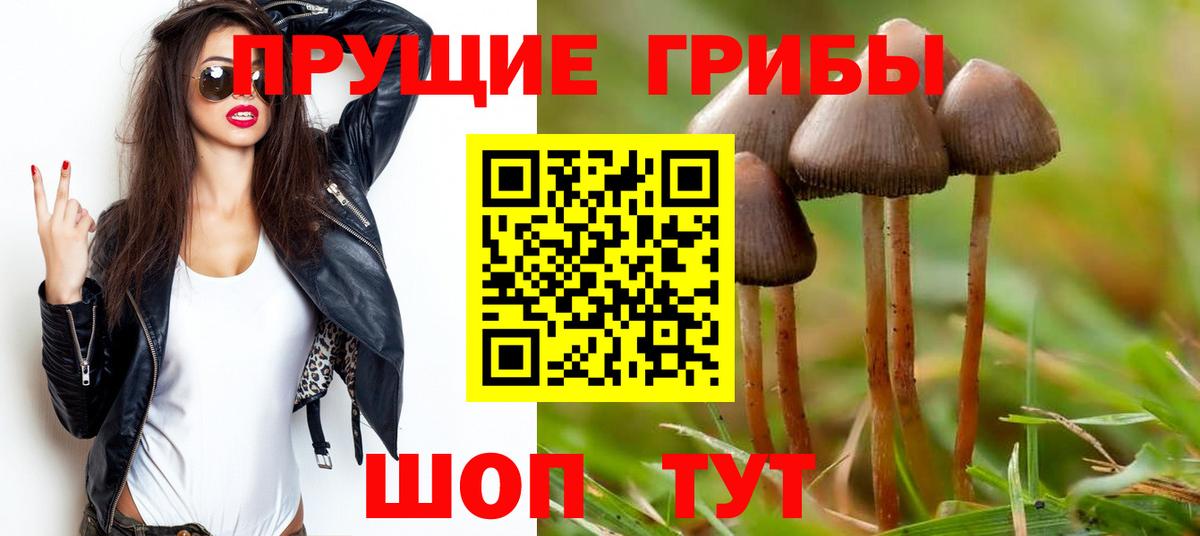 где продают   Вход с VPN  Ессентуки  Галлюциногенные грибы Magic Shrooms 